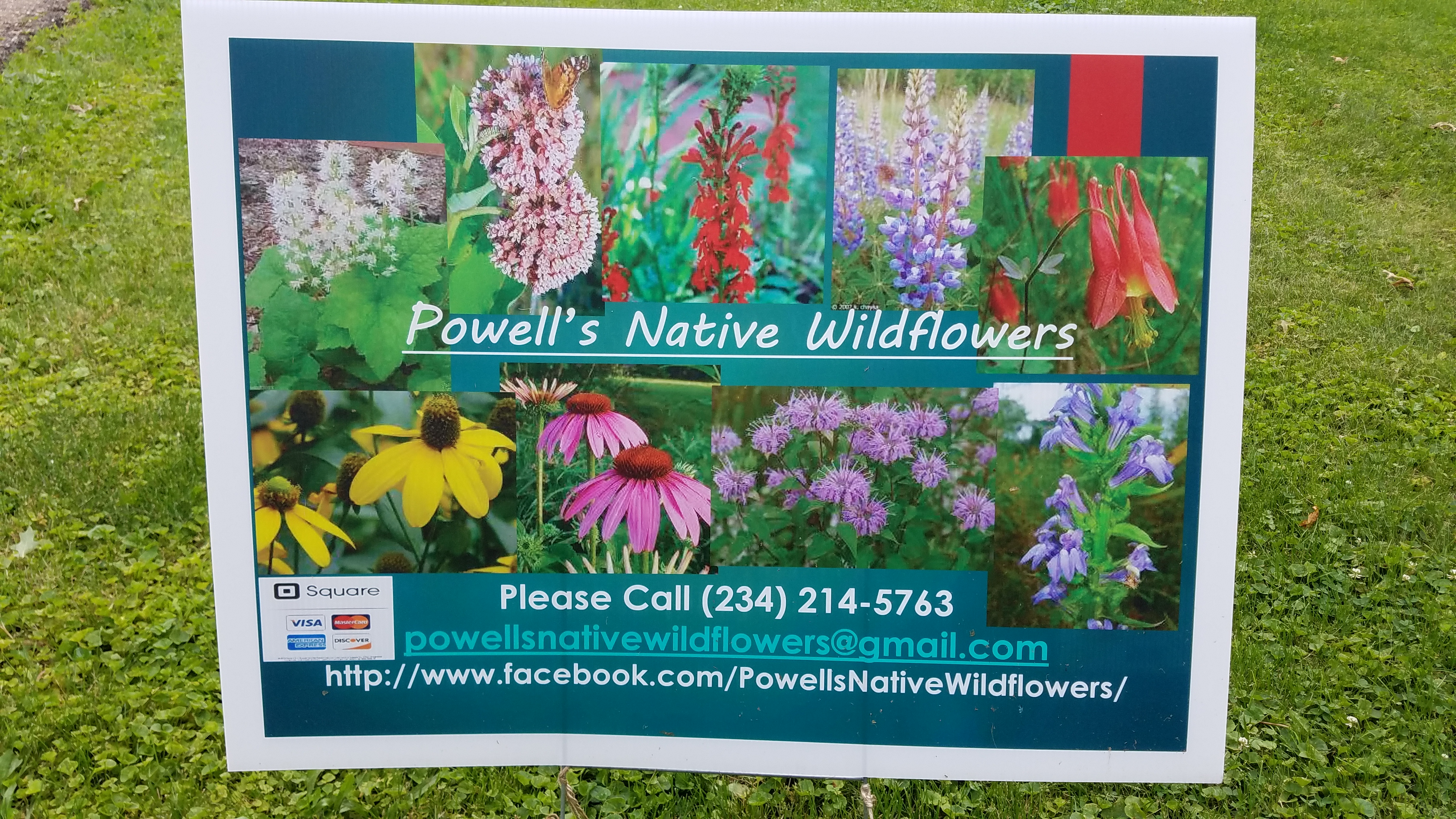 Powell’s Native Wildflowers  Est 2017